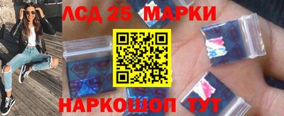 spice Гатчина