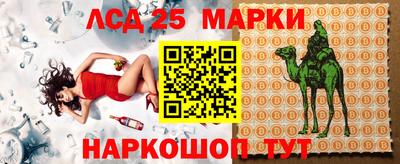 spice Гатчина