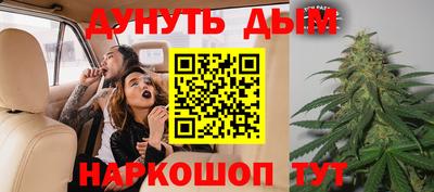 spice Гатчина