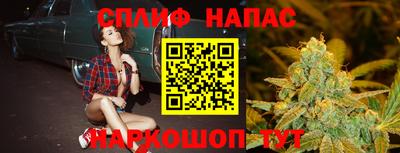 spice Гатчина