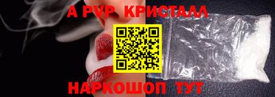 spice Гатчина