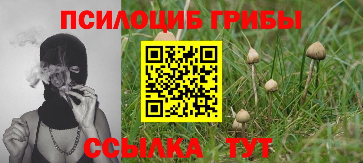 Галлюциногенные грибы мухоморы Москва